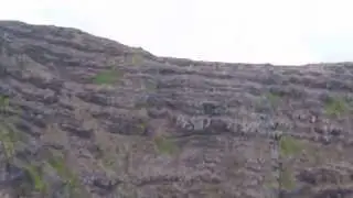 Skywalker EPO Falcon soaring with no motor