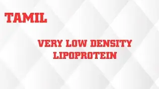 VERY LOW DENSITY LIPOPROTEIN IN TAMIL/SYNTHESIS/METABOLISM OF VLDL/FUNCTION OF VLDL