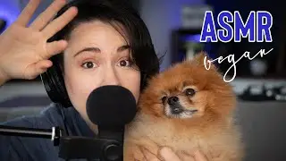 ASMR VEGAN (c'est plus dr&ocirc;le que relaxant !)