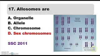 Genetics MCQs - NEET/UPSC/PSC/SSC/CHSL/RRB