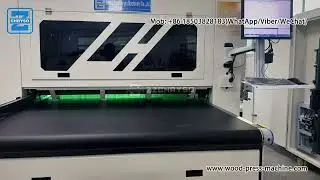 Automatic Wood Digital Printing Machine For Wood Plank, Plywood For Sign, Logo Mark