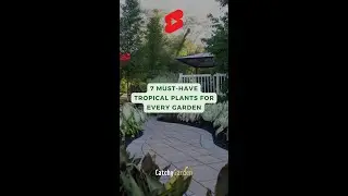 7 Must Have Tropical Plants For Every Garden 🍃🌺☘️ // #short #shorts