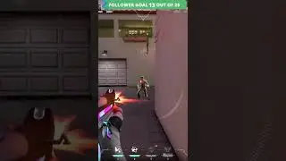 Elusive Skye 🦅 | #s0larwave_ on #Twitch #Valorant #Ranked #Kayo