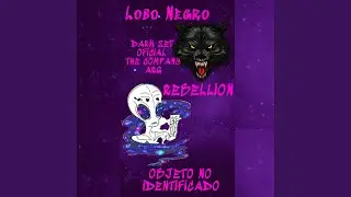 Objeto No Identificado