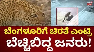 Leopard Spotted In Bengaluru | ಬೆಂಗಳೂರಿನಲ್ಲಿ ಚಿರತೆ ಪ್ರತ್ಯಕ್ಷ! ಜನರು ಶಾಕ್!
