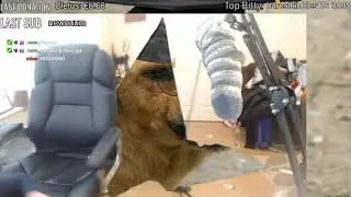 IRL - Minx doing her thing (Justaminx)