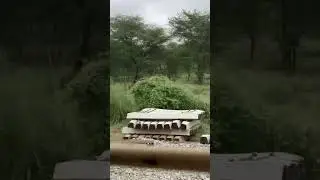 #shortsvideo ##railwayline #forwork #youtubeshorts 🥰