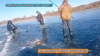  РЫБАЛКА по ПЕРВОМУ ЛЬДУ с ПОДВОДНОЙ СЪËМКОЙ на ХАРИУСА И ЛЕНКА!!! #хариус #ленок #fishing 