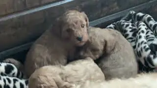 Aaaaaaaaaaaaaa