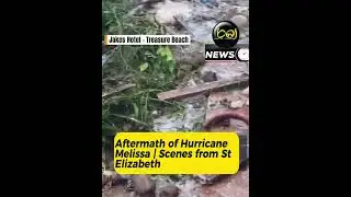 Aftermath of Hurricane Melissa | Scenes from St Elizabeth 