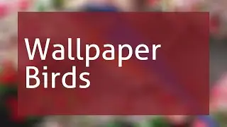Wallpaper Birds