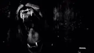 Primal |  Dark Techno/Electronic Music
