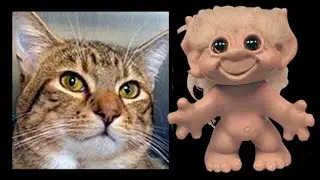 The TrollDoll Channel: 😸UNBOXING😸 of HUGE Wishnik (with Bentley the Cat)!