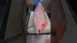 Queen Red Snapper Fish Cutting Skill#shorts