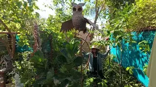 Pruning Day in the Garden!