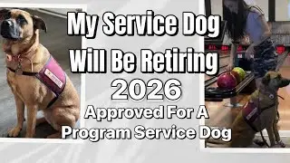 My Service Dog Is Retiring - Approved For A Program Dog- Emotional Video
