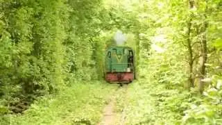 Tunnel of Love in Klevan Ukraine or Love in Ukraine can be a Fairy Tale