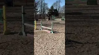 (Lily) working on jumper courses we are turning into jumpers😉🫰😄