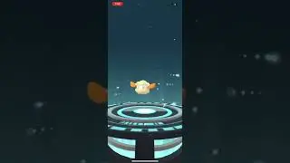 POK&Eacute;MON GO RARE ✨SHINY✨ COTTONEE EVOLVE ✨SHINY✨ WHIMSICOTT #pokemongo #shinypokemon