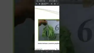 rezultatul folosirii algelor marine #bcx900 la salata