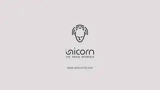 Unicorn Hybrid Black Tutorial: Simulink Interface