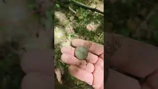 metal detecting finds 1807 draped bust large cent!!