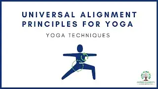 Universal Alignment Principles for Yoga