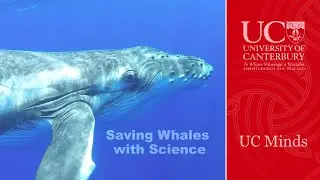 UC Minds - Saving Whales with Science