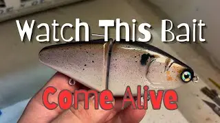 Handmade Resin Glide Bait &ndash; Speed Paint (Satisfying Custom Lure)