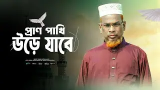    প্রাণ পাখি উড়িয়া গেলে পিঞ্জিরা হবে খালিরে।মাওলানা মকবুল হোসাইন আনসারী! #viral #trending #foryou 