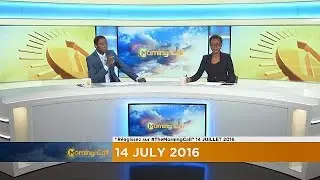 DRC: illegal timber trafficking [ The Morning Call ]