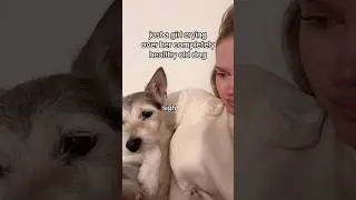 Crying over my old healthy dog