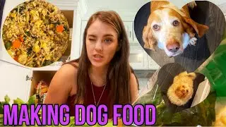 Cooking for my Basset Hound and Shihpoo! HOMEMADE DOG FOOD