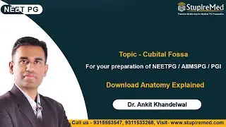 Cubital Fossa I Dr. Ankit Khandelwal I Anatomy Explained I StupireMed