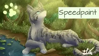 Speedpaint - Warrior Cats Jayfeather/ Häherfeder