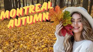 Walking in Dreamy autumn 🇨🇦