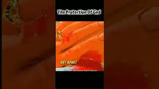 The Power Of God To Protect #God #Jesus #BibleEdit #ChristianEdits #Faith #Protection #BibleLens