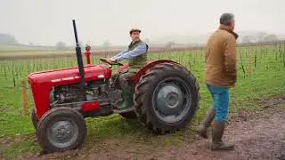 Thatchers Cider - Harvest