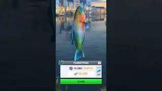 Fishing Travel | Parrotfish 10.2 kg Catch #shorts #fishing #fishingtravel #parrotfish #bigcatch