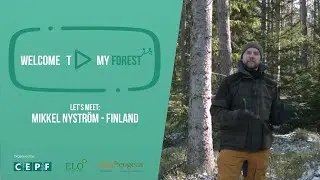 #WelcomeToMyForest - Meet Mickel Nystr&ouml;m in his forest in Finland
