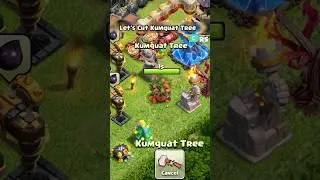 What&rsquo;s inside KUMQUAT Tree in Clash of Clans