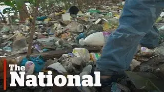 Pollution solution: Rio's guardians of the river