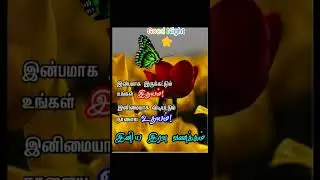 🌟🌹Good Night status in Tamil #gooddreams#sanjanasankarjs#shorts
