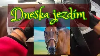 10#DNESKA JEZDÍM... ”LUSSA” (Příprava na ježdění + ježdění)