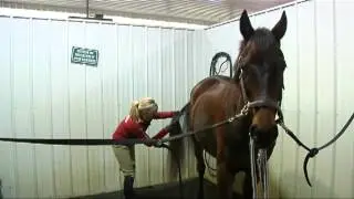 Horse Boarding