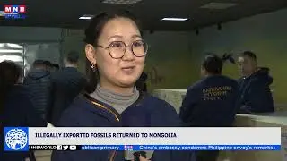 Illegally exported fossils returned to Mongolia.
