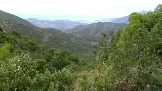 Tesoros de Chacabuco, Santuario de la Naturaleza Cerro El Roble, Til Til