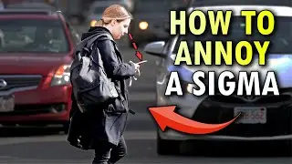8 Things That Irritate All Sigma Males (How To Annoy A Sigma)