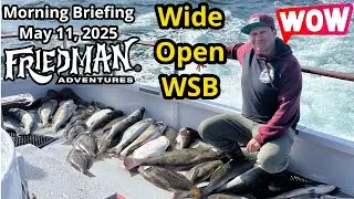 Pride slams white seabass, halibut & more, Channel Islands epic bite continues, bluefin tuna update