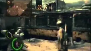 Versus sheva fiesta and sheva tribal